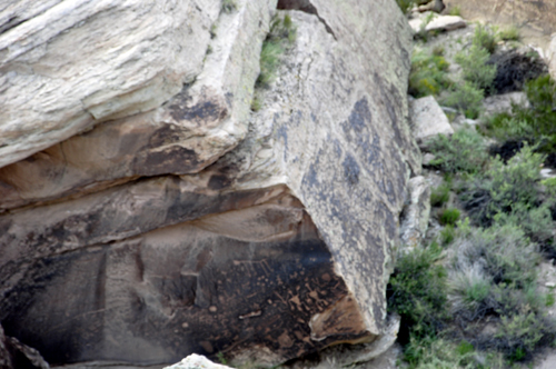 Petroglyphs at Newspaper Rock